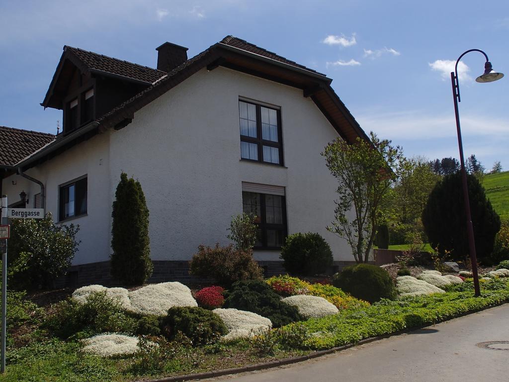 Ferienwohnung Meisenthal Naehe Nuerburgring Kelberg Rum bild